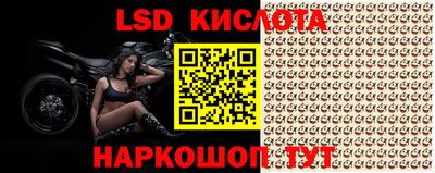 jwh Бийск