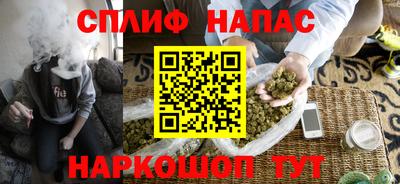 jwh Бийск