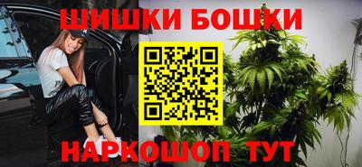 jwh Бийск