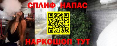 jwh Бийск