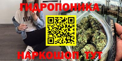 jwh Бийск