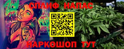 jwh Бийск