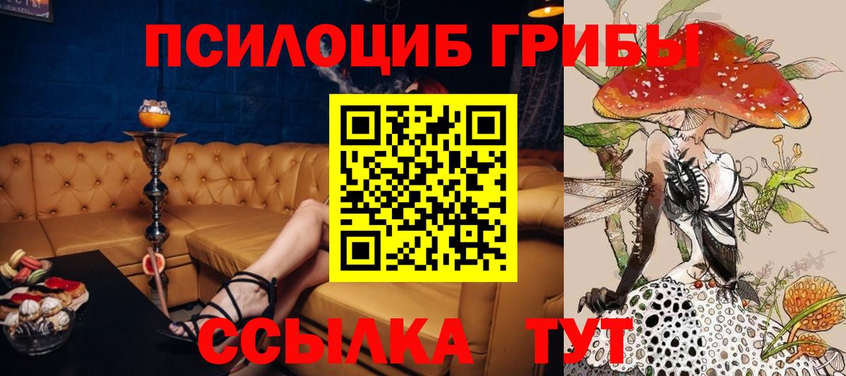 Каменск-Шахтинский  Псилоцибиновые грибы мухоморы  Вход с VPN  Галлюциногенные грибы MAGIC MUSHROOMS 